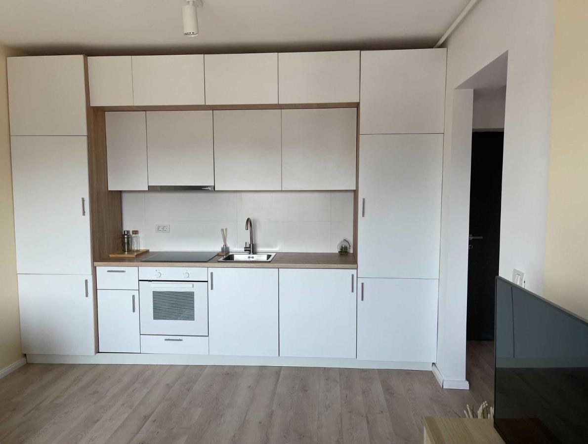 Platinum Luxury Apartment Near Presidential Palace Bukarest Kültér fotó
